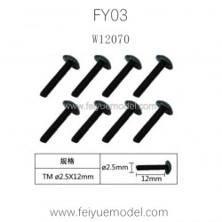 FEIYUE FY03 Parts Machine Silk Screw W12070