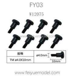 FEIYUE FY03 Parts, Machine Silk Screw W12075