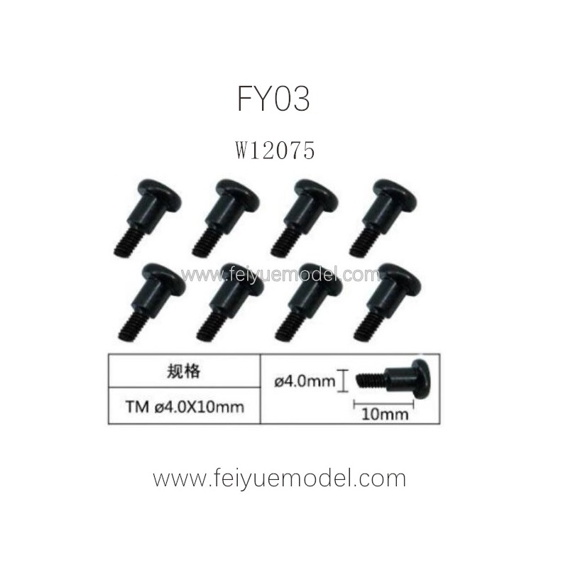 FEIYUE FY03 Parts, Machine Silk Screw W12075